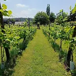 Halte Sint-gerlach *