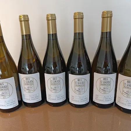 Halte Sint-gerlach * 法尔肯堡