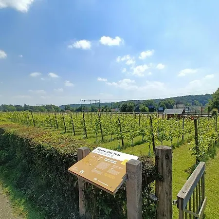 Halte Sint-gerlach Сasa de vacaciones Valkenburg aan de Geul