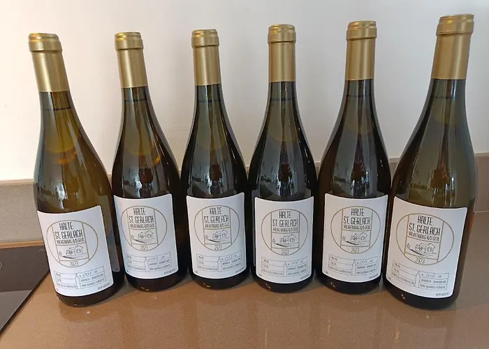 Halte Sint-gerlach * 法尔肯堡