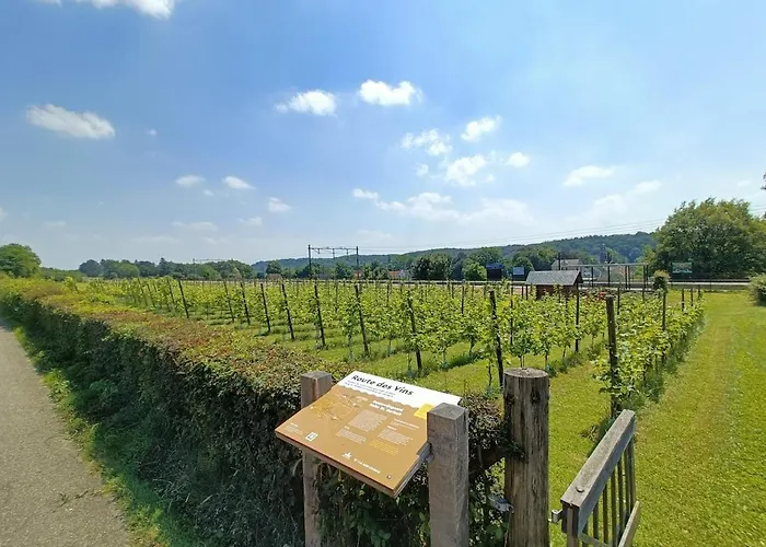 Halte Sint-Gerlach Holiday Home Holiday home Valkenburg aan de Geul