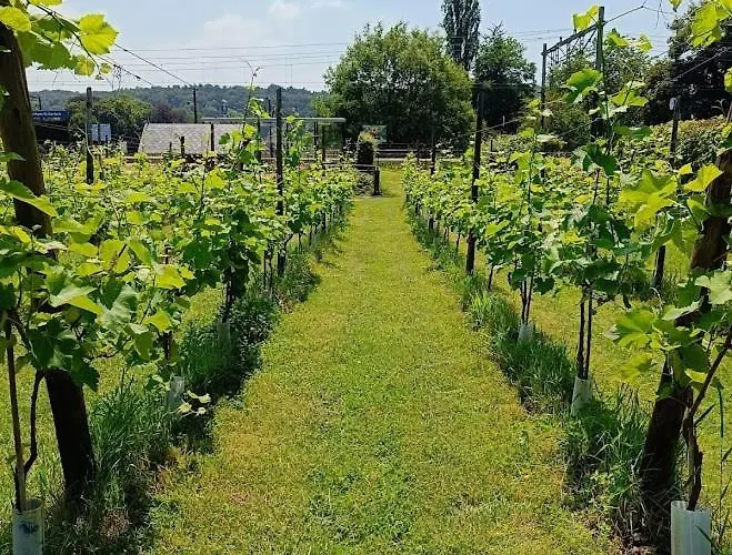 Halte Sint-gerlach *