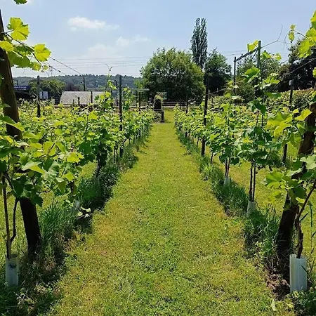 Halte Sint-gerlach *