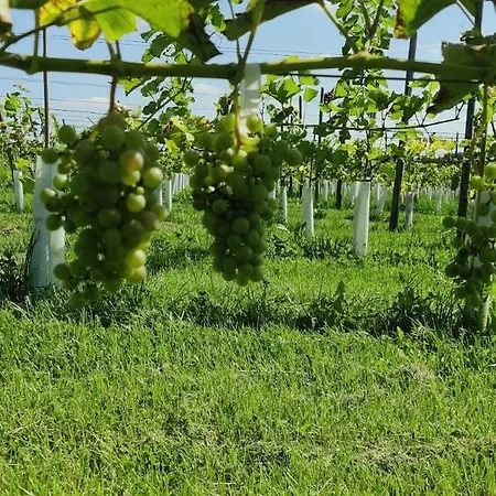 Halte Sint-gerlach *