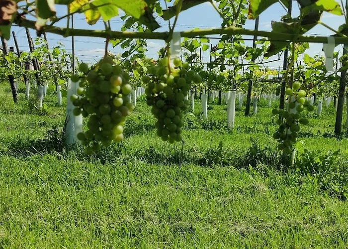 Halte Sint-gerlach *